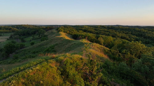 Green hills and woods