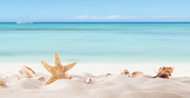 A sandy beach with seashells