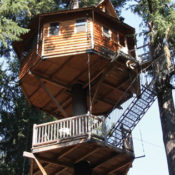A treehouse