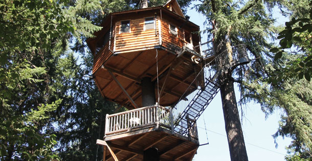 A treehouse