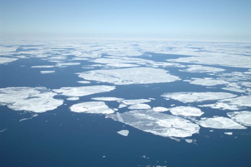 Airial view of sea ice floating in water as a result of climate change.