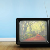 A retro CRT television showing an autumn scene in the woods