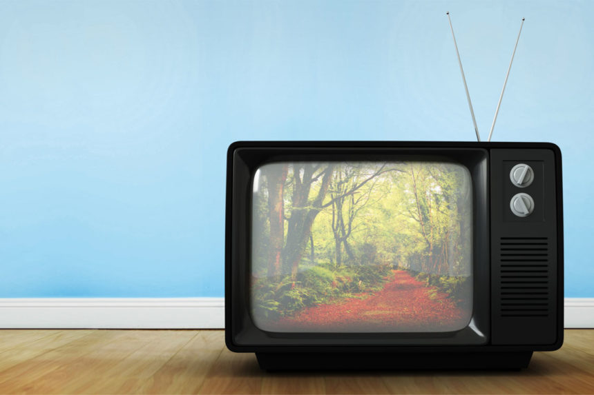 A retro CRT television showing an autumn scene in the woods