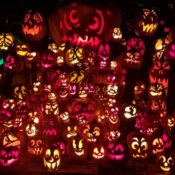 A mass of Jack O'Lanterns on the Louisville Halloween trail
