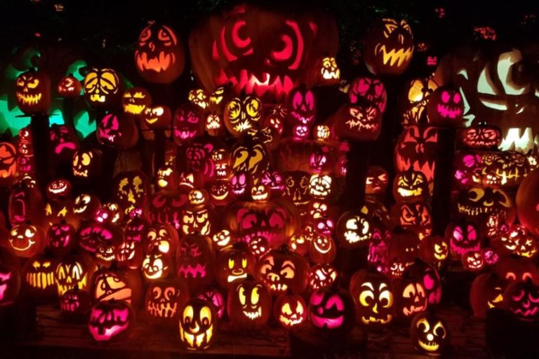 jack o lantern spectacular louisville discount tickets jack o lantern spectacular louisville discount tickets
