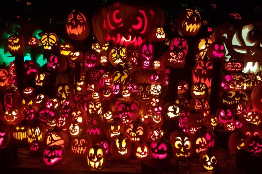 A mass of Jack O'Lanterns on the Louisville Halloween trail