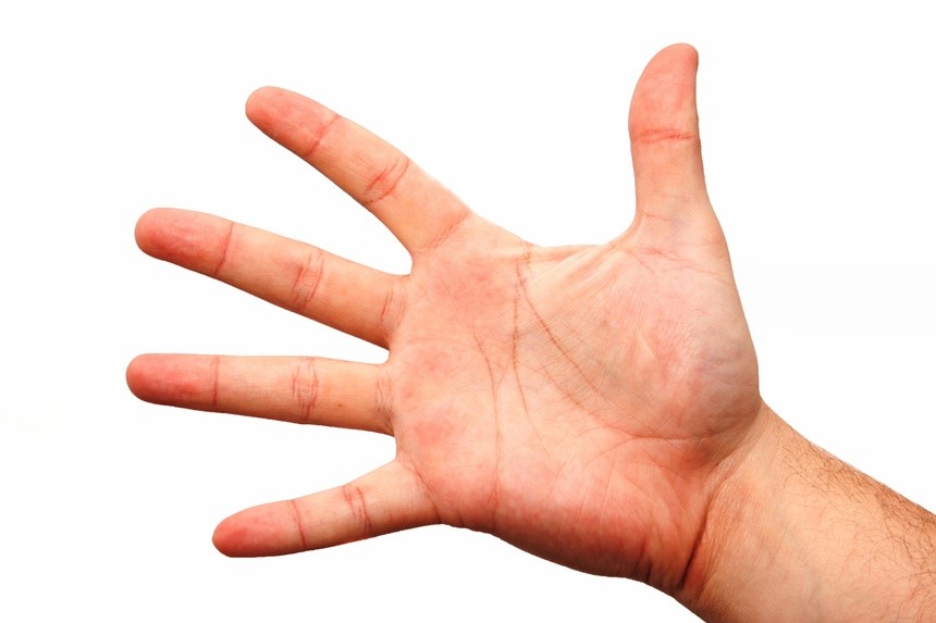 An open hand showing the palm and five fingers.