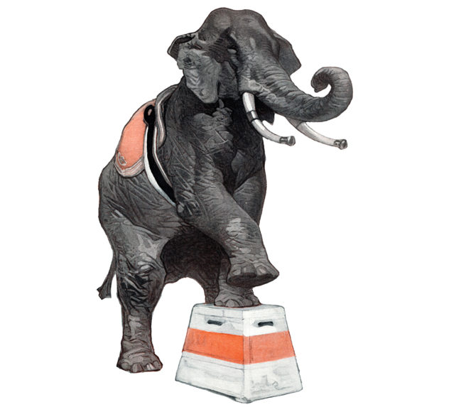 Elephant standing on a platform.