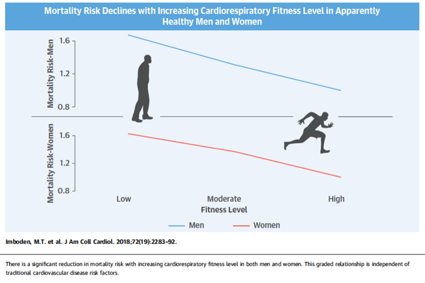 Chart showing decreasing mortality risk from increased cardiovascular exercise