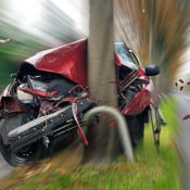 A red sedan crashing hood-first into a tree.