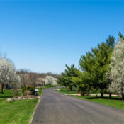 A neighborhood with spring blossoms in a midwestern community.
