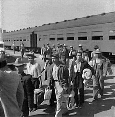 Mexican migrants, enter the U.S. under the Bracero ("manual laborer") program.