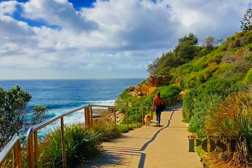 Woman walking her dog along a coast