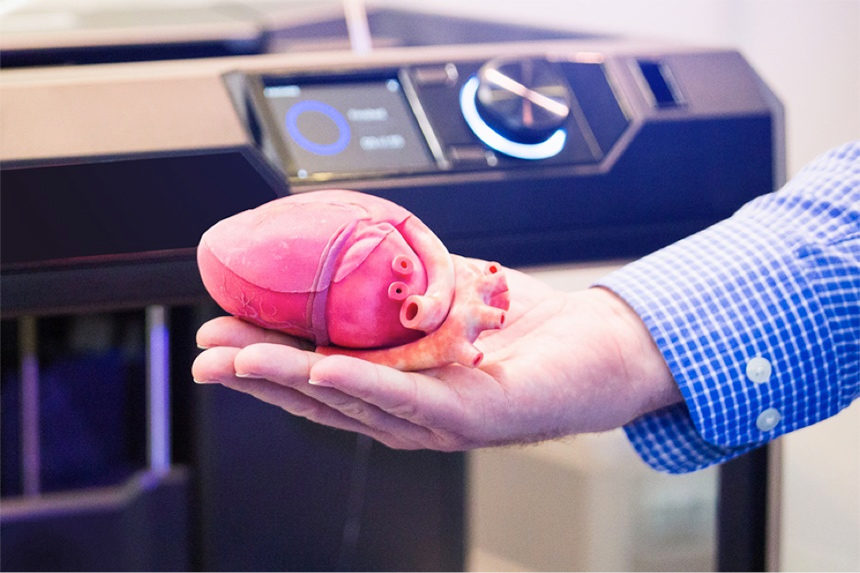 A 3D-printed artificial heart