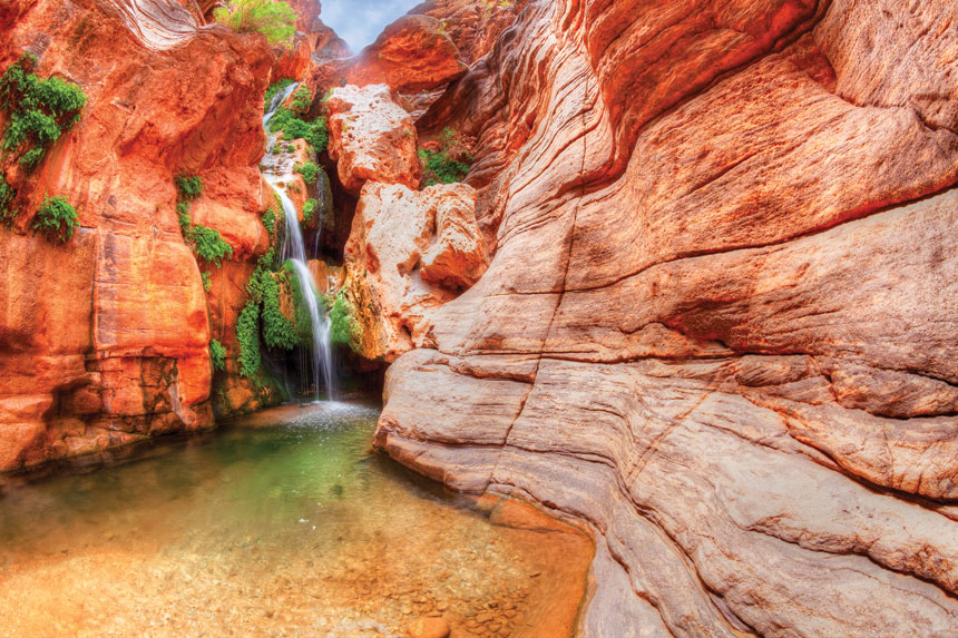 A pool in the Grand Canyon, shadded by trees.