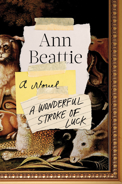 A Wonderful Stroke of Luck book cover