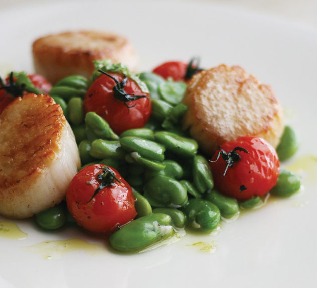 Plate of grilled scallops with fava beans and tomatoes
