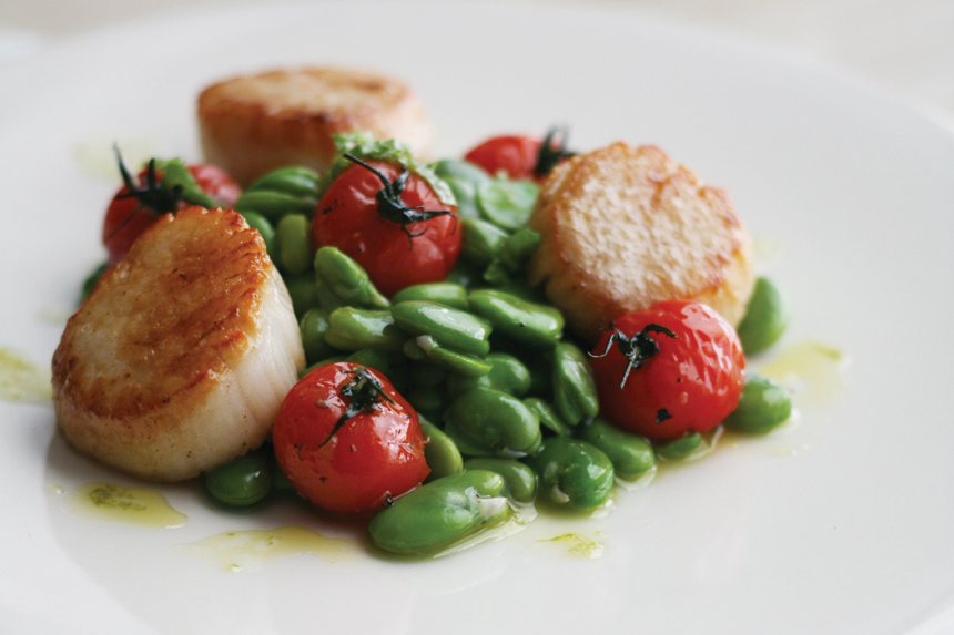 Plate of grilled scallops with fava beans and tomatoes