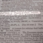 Open dictionary with the definition for "dord" showing on the exposed page