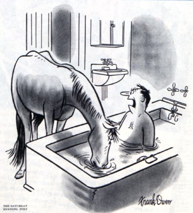 Horse drinking out of a bathtub while a man is in it.