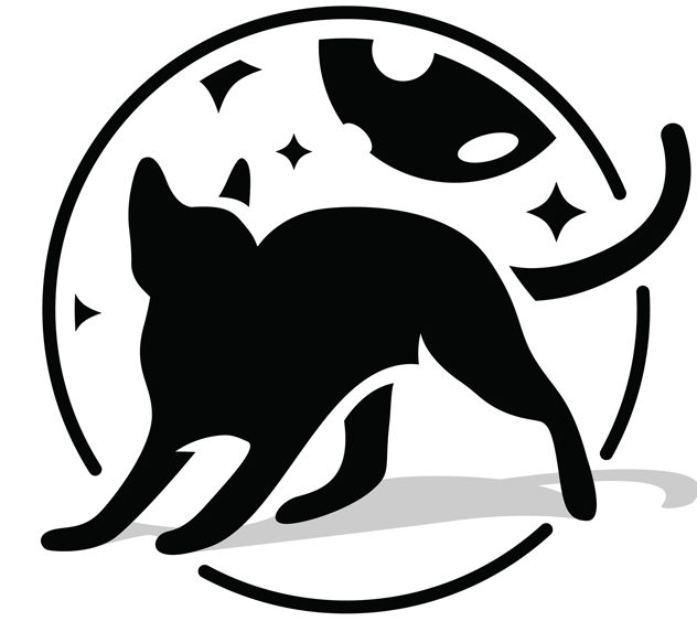 A black cat under a full moon