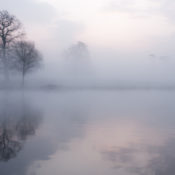 A lake in the mist
