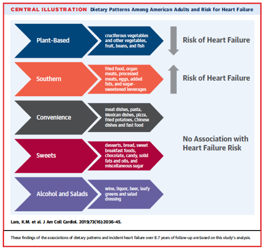 Chart showing the types of food that affect the risk of heart failure, with plant based diets showing a decreased risk and southern cuisine showing a heightened risk.