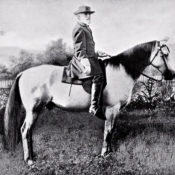 Confederate general Robert E. Lee on his horse, Traveller