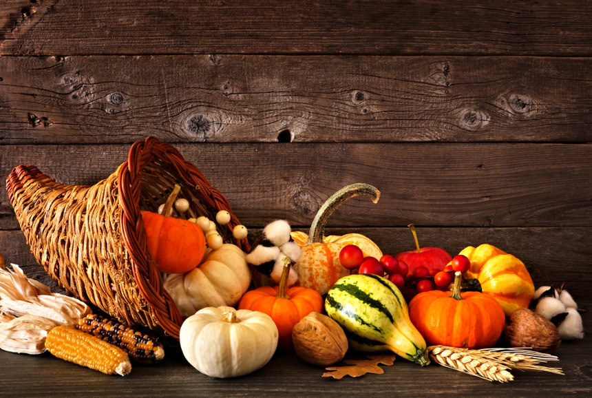 In a Word Cornucopia A Thanksgiving Symbol that Predates America