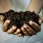 Man holding a clump of compost in his hands.