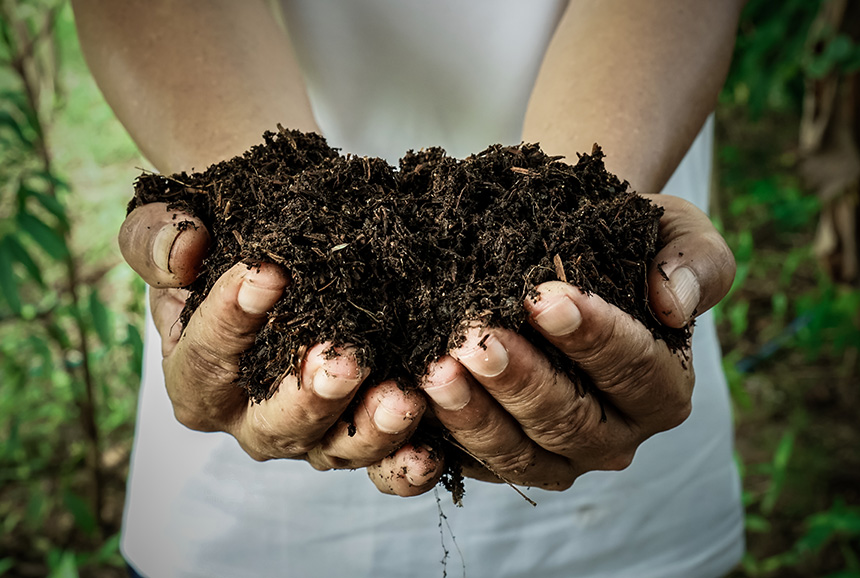 Shut Up and Compost | The Saturday Evening Post