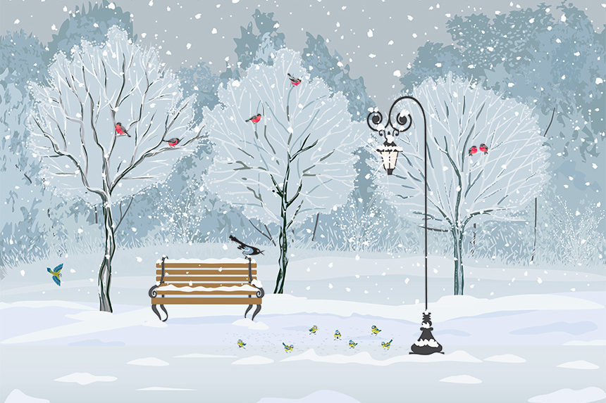 An illustration of a park in winter. The trees are cov