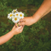 People handing daisies to eachother