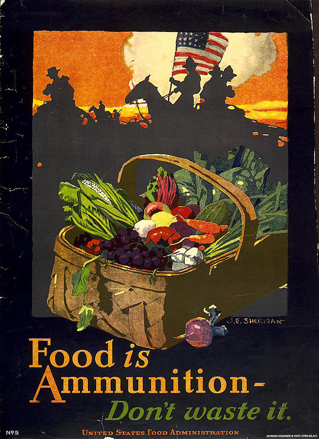 Propaganda poster asking Americans to use food wisely during World War I