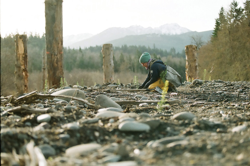 Person planting