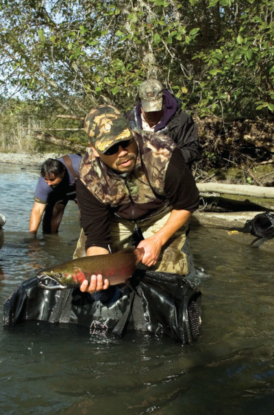 Biologist Ray Moses lifting a fish out of a river