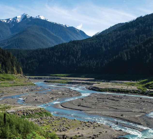 View of the Elwha River