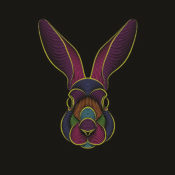 Illustration of a rabbit's head