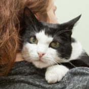 Woman hugging her black-and-white calico cat