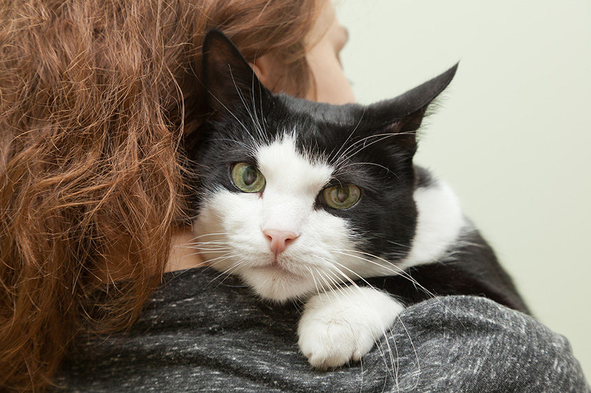 Woman hugging her black-and-white calico cat