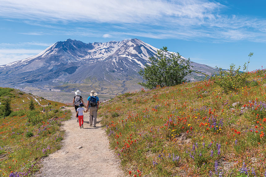 Family hiking in the shadow of Mount St. Helens