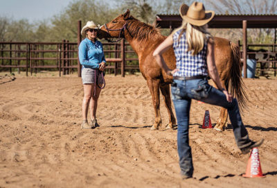 Woman stands with a horse while listening to a trainer.