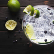 A glass of gin and tonic with lime