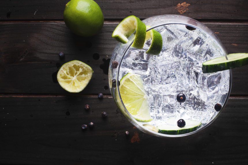 A glass of gin and tonic with lime