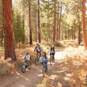 Family biking through a forest