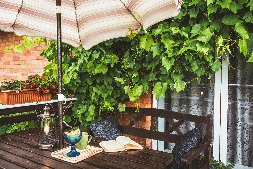 Balcony with suspended potted plants