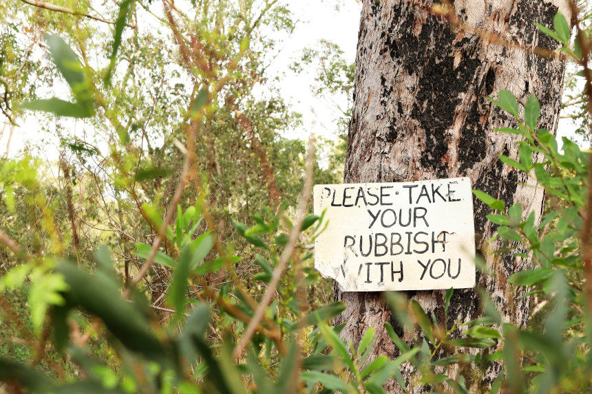 A sign asking hikers not to liter hangs on a tree in the woods.