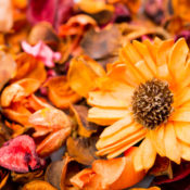 Flowers in a potpourri