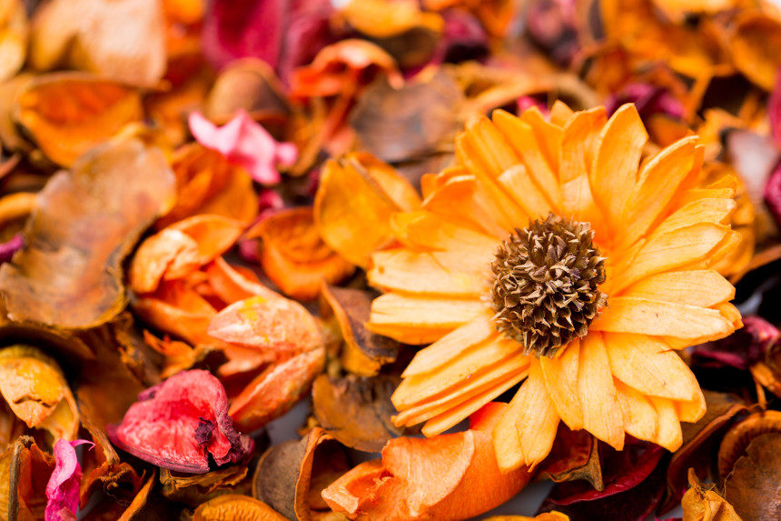 Flowers in a potpourri