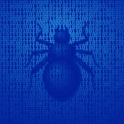 Graphic representation of a computer bug.